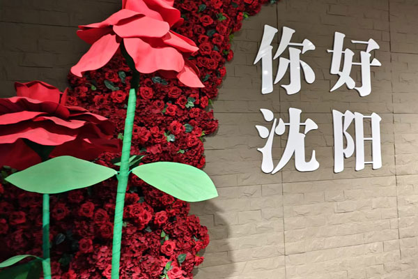 沈阳血管病医院致力于下肢静脉曲张疾病的研究与创新，并静脉曲张医疗水平的不断发展与提升 