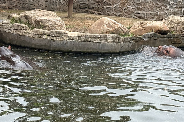 静脉曲张DNA检测方法有哪些